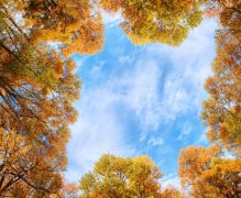 白露过后是什么节气 白露
