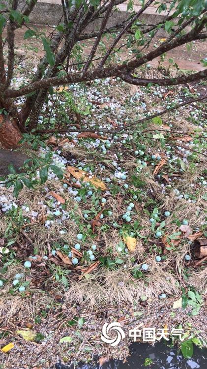 云南墨江久旱逢甘霖 雨水滋润干渴大地