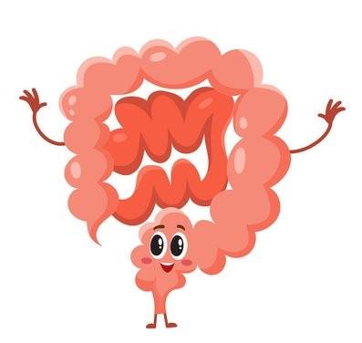 健康”肠“识知多少,守护身体健康,让我们从”肠“计议