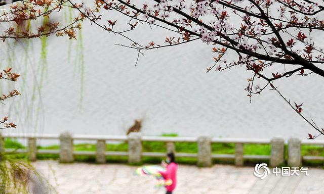 湖南衡阳：蒸水河畔春花盛开 春景如画