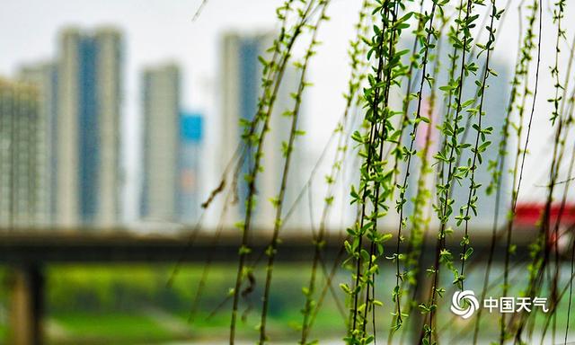 湖南衡阳：蒸水河畔春花盛开 春景如画