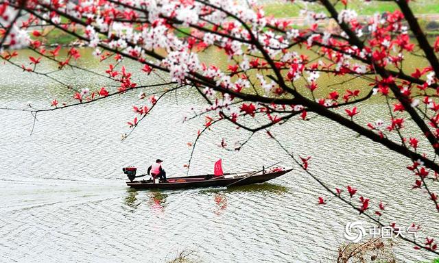 湖南衡阳：蒸水河畔春花盛开 春景如画