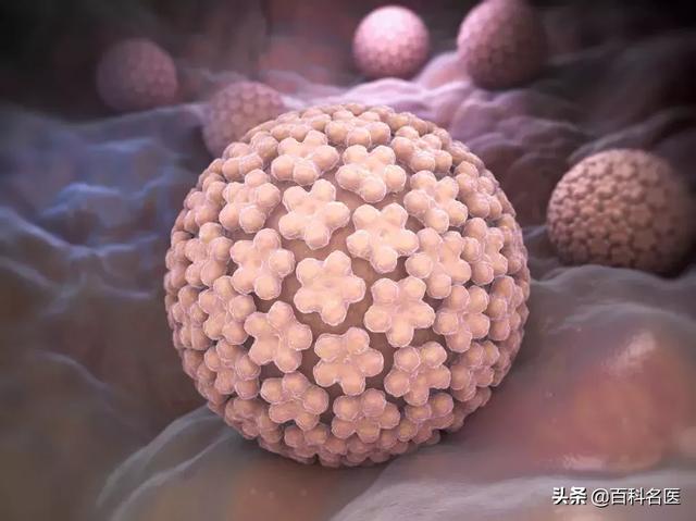 健康谣言101 哪条戳进你心窝？