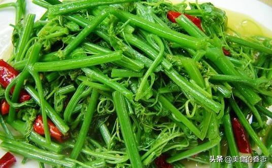 素菜大全,打开你味蕾