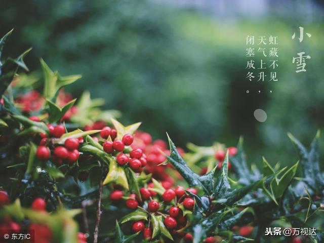 今日小雪,这些知识你不可不知!