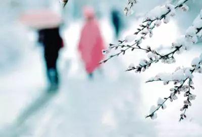 今日小雪,这些节气禁忌与常识你必须知道