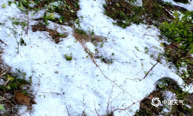 广西百色遭遇冰雹袭击 地面如积雪