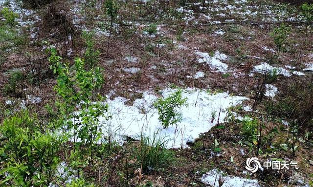 广西百色遭遇冰雹袭击 地面如积雪