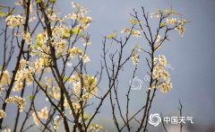 全国大部地区降水进一步