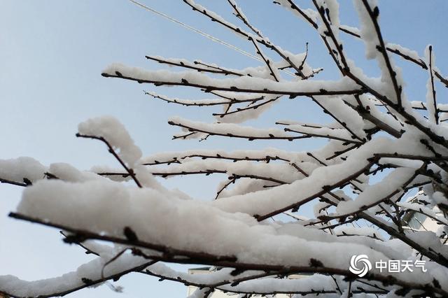 甘肃碌曲：雪后阳光初照万物静