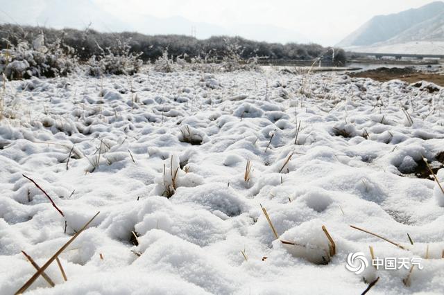 甘肃碌曲：雪后阳光初照万物静