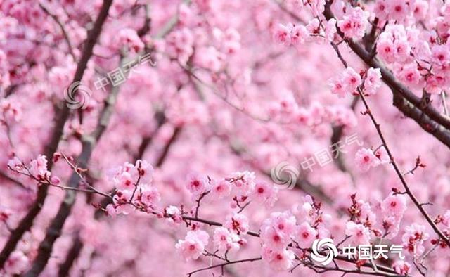 全国大部继续回暖 武汉长沙西安等地冲击30℃