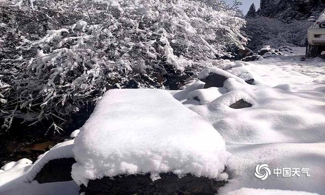 青海玛可河林区降中雪 利牧草返青生长