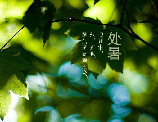 关于处暑的这些小知识,你的孩子知道吗?