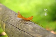 处暑节气