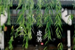 处暑时节，这些养生常识