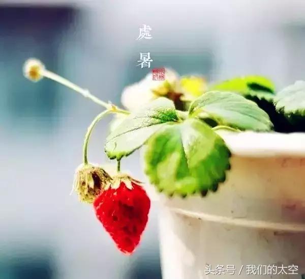 处暑|最热的日子总算过去了,这些养生常识要牢记哦