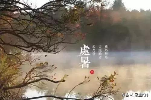 「24节气科普」处暑
