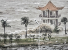 台风来了应该注意哪些 台
