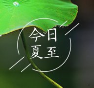 夏至已至，关于夏至的这