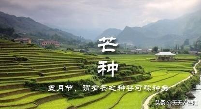 “芒种”提示我们,只要做到这4点,有益身体健康,少生病