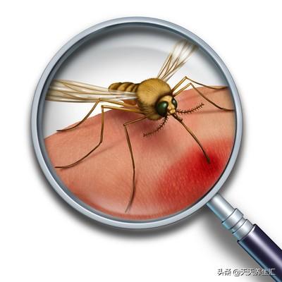 “芒种”提示我们,只要做到这4点,有益身体健康,少生病