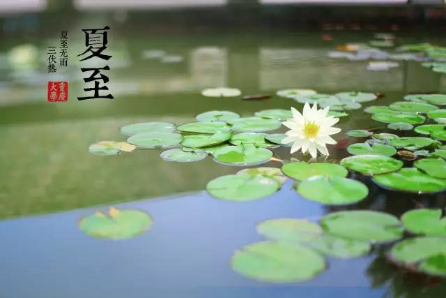 知识普及 今日夏至