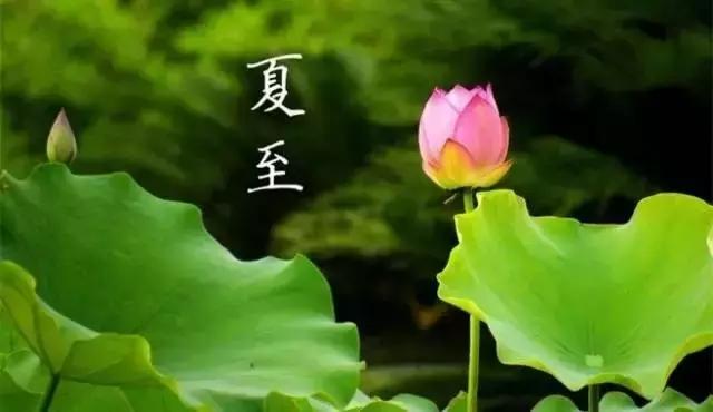 今日夏至,你必须知道的养生知识