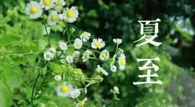 今日夏至,你必须知道的养生知识