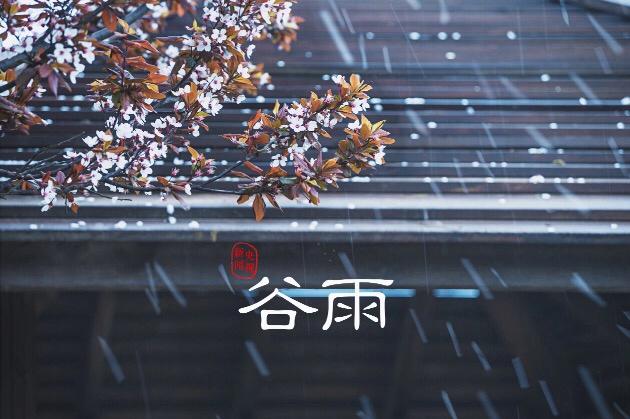 二十四节气——谷雨