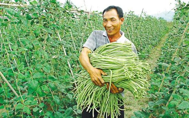 è°è¯´å¥ä¼åè¬èç§ä¸æ´»ï¼ç§æ¤è¿å ç§èï¼å¤©æ°åç­ä¹ä¸æ