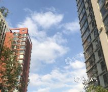 什么是“冷涡”？它又是