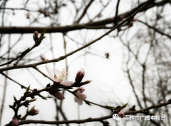全国迎来回暖大潮  　　我