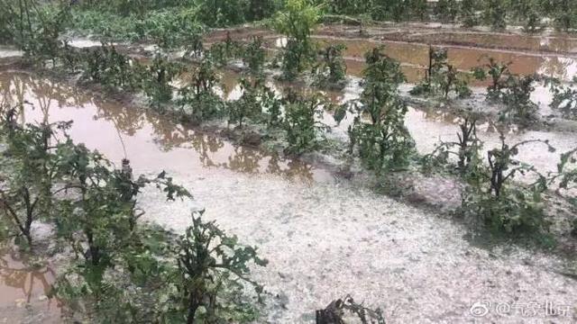 「气象科普知识」近日强对流天气频现北方 原因是什么