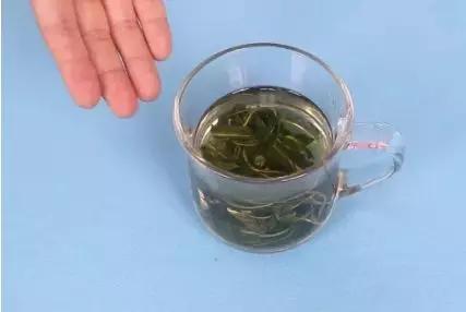蒲公英是泡水好还是煮着喝好呢?现在学还不晚,别不当回事
