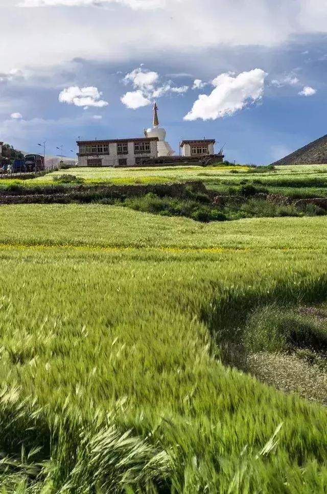 看完这篇西藏详细攻略,你去西藏将不再迷茫