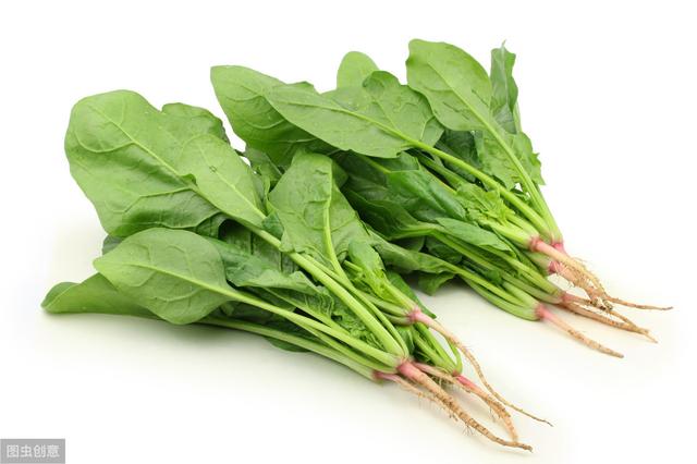 菠菜和什么一起吃比较好?你或许真的不知道,今天我们来告诉你