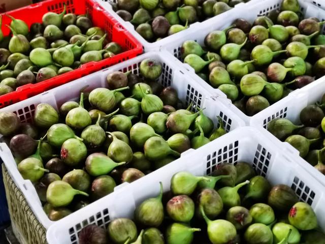 西双版纳最大水果批发市场，曼阁市场，云南是绿色水果王国！