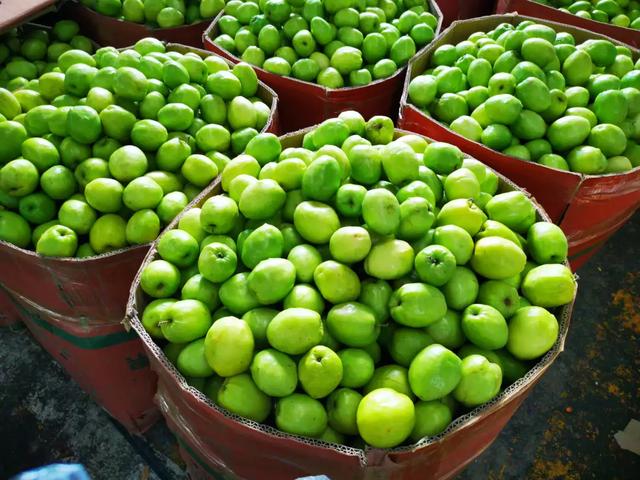 西双版纳最大水果批发市场，曼阁市场，云南是绿色水果王国！