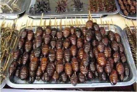 西双版纳的十大特色美食,这些美食你都吃过吗?#西双版纳旅游