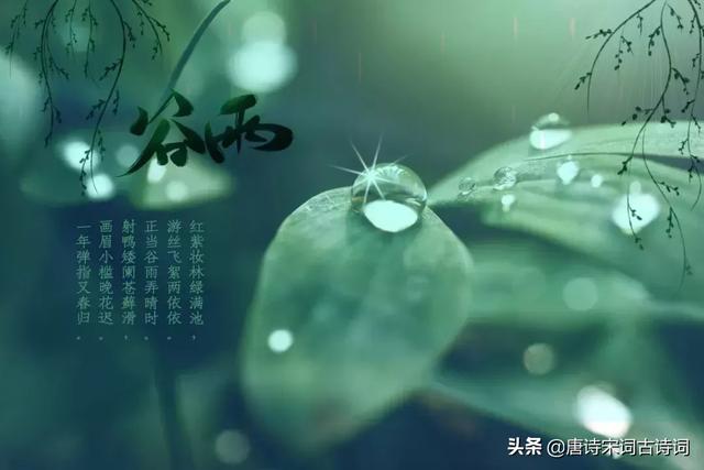 40首谷雨诗词,人间暮春,雨落情长