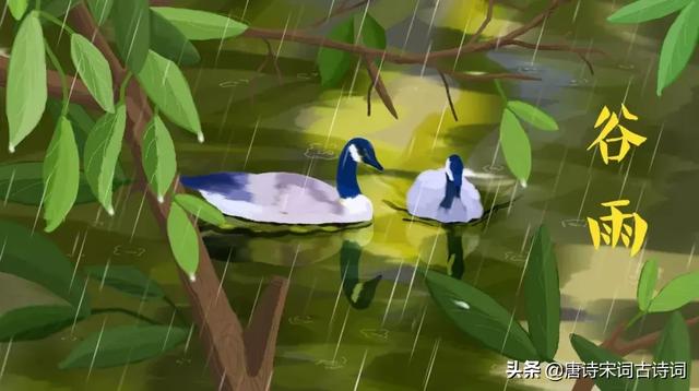 40首谷雨诗词,人间暮春,雨落情长