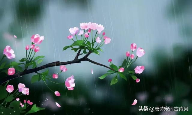 40首谷雨诗词,人间暮春,雨落情长