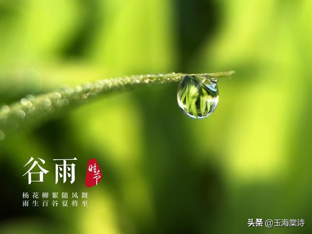 今日谷雨,请欣赏这几首绝美的谷雨诗词