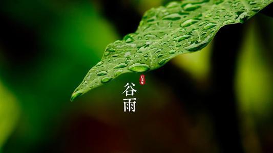谷雨将至,十首谷雨诗词邂逅最美四月天