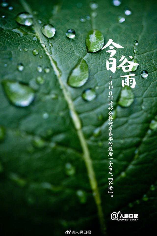 今日谷雨,你准备好迎接夏天了吗?