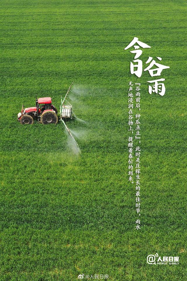 今日谷雨,你准备好迎接夏天了吗?