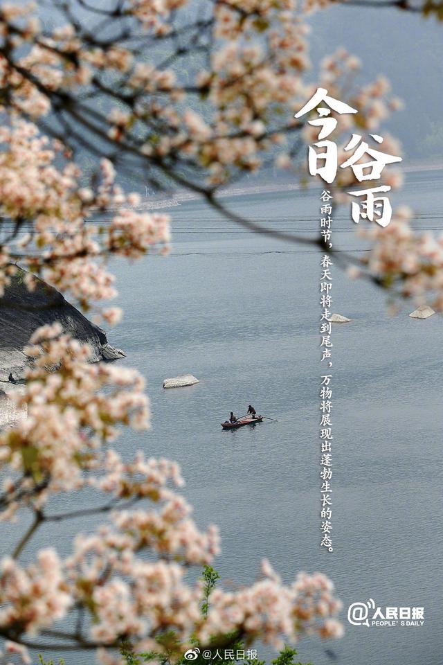 今日谷雨,你准备好迎接夏天了吗?