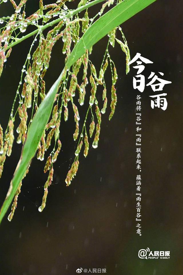 今日谷雨,你准备好迎接夏天了吗?