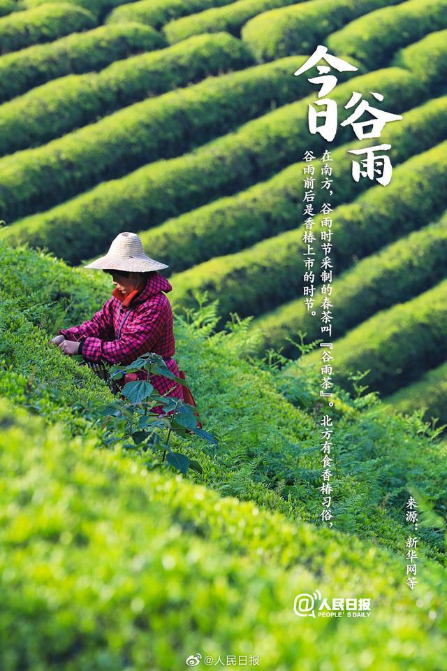 今日谷雨,你准备好迎接夏天了吗?